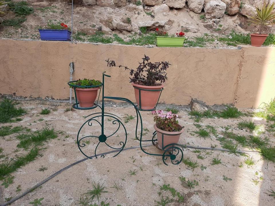 דירות Emile Altwal מאדאבה מראה חיצוני תמונה